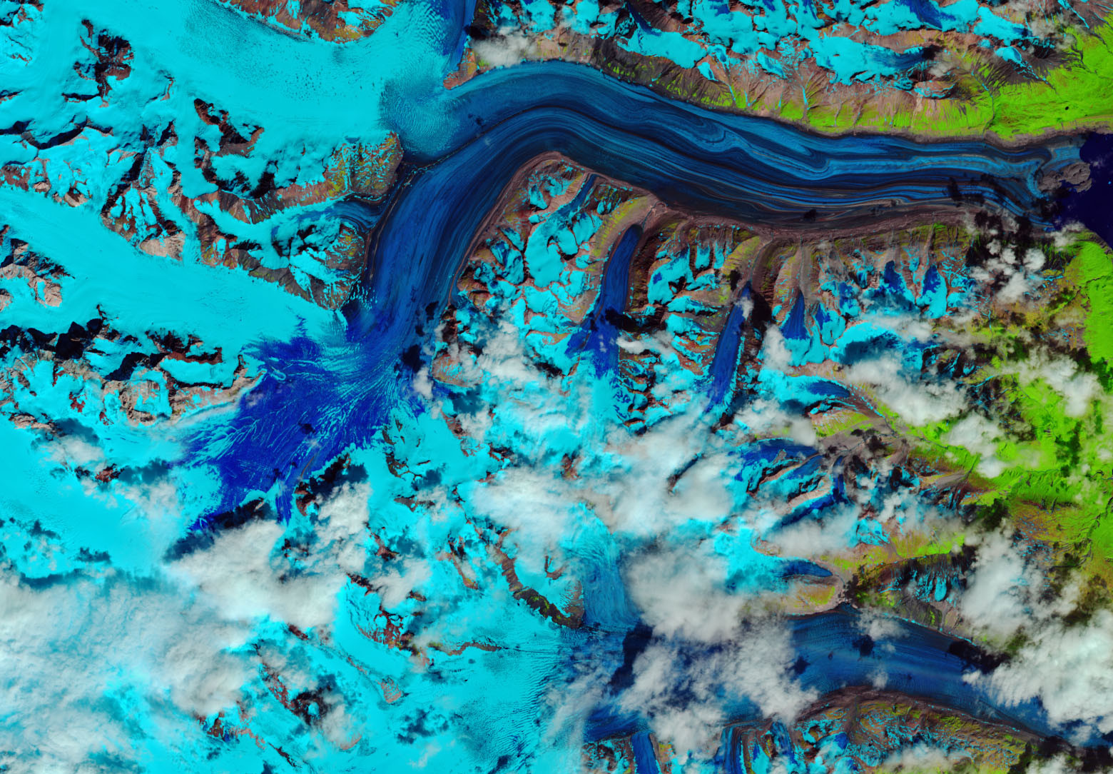 This false-colour photo taken by Landsat-8 on 26 July 2018 captured the rapid development of a “snow swamp” at Kluane National Park in Canada’s Yukon territory.  JOSHUA STEVENS/U.S. GEOLOGICAL SURVEY/EUROPEAN SPACE AGENCY/NASA