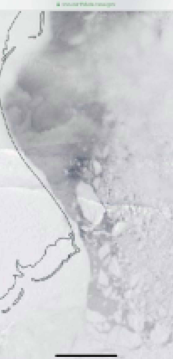 Sanpshot of a satellite image of the sea-ice edge off the Northern Slope of Alaska, shared on Facebook. Photo: Courtesy of Gordon Ikayuak Brower