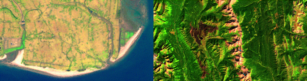 Thirty-five years of shoreline and forest loss captured by Landsat satellite imagery. The data helps track changes in the condition of oceans, forests, and key biodiversity indicators.