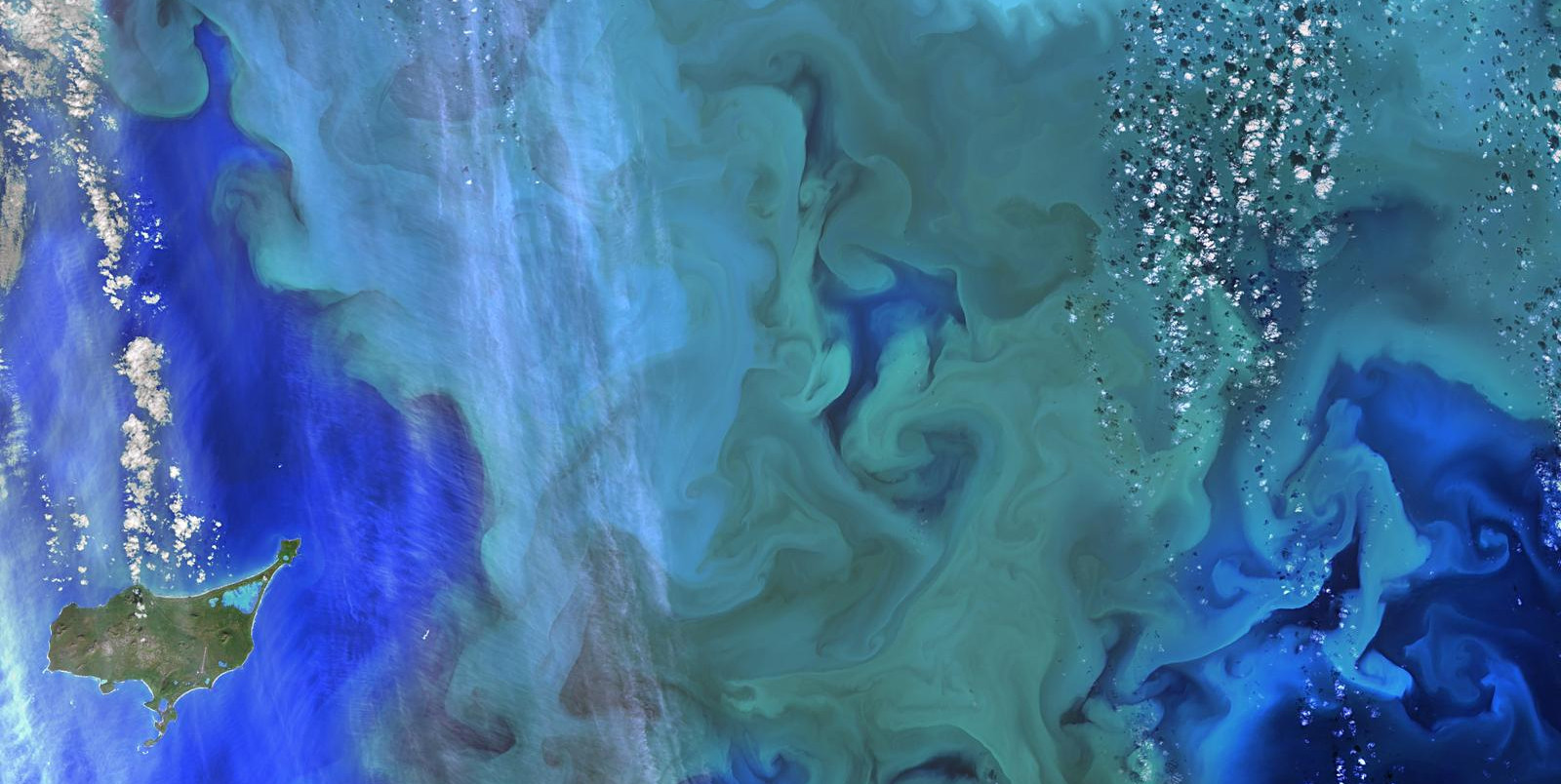 The greens and blues of the ocean colour from NASA satellite data have provided new insights into how climate and ecosystem processes affect the growth cycles of phytoplankton. Credit: NASA Goddard.