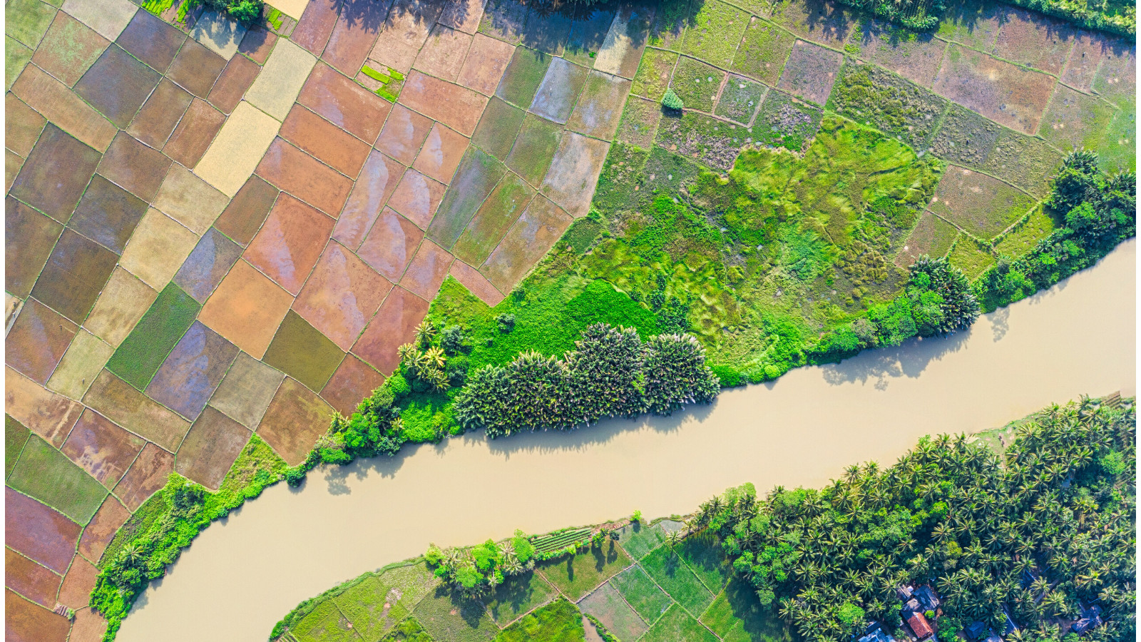 Aerial photograph of crop lands and river, Indonesia.