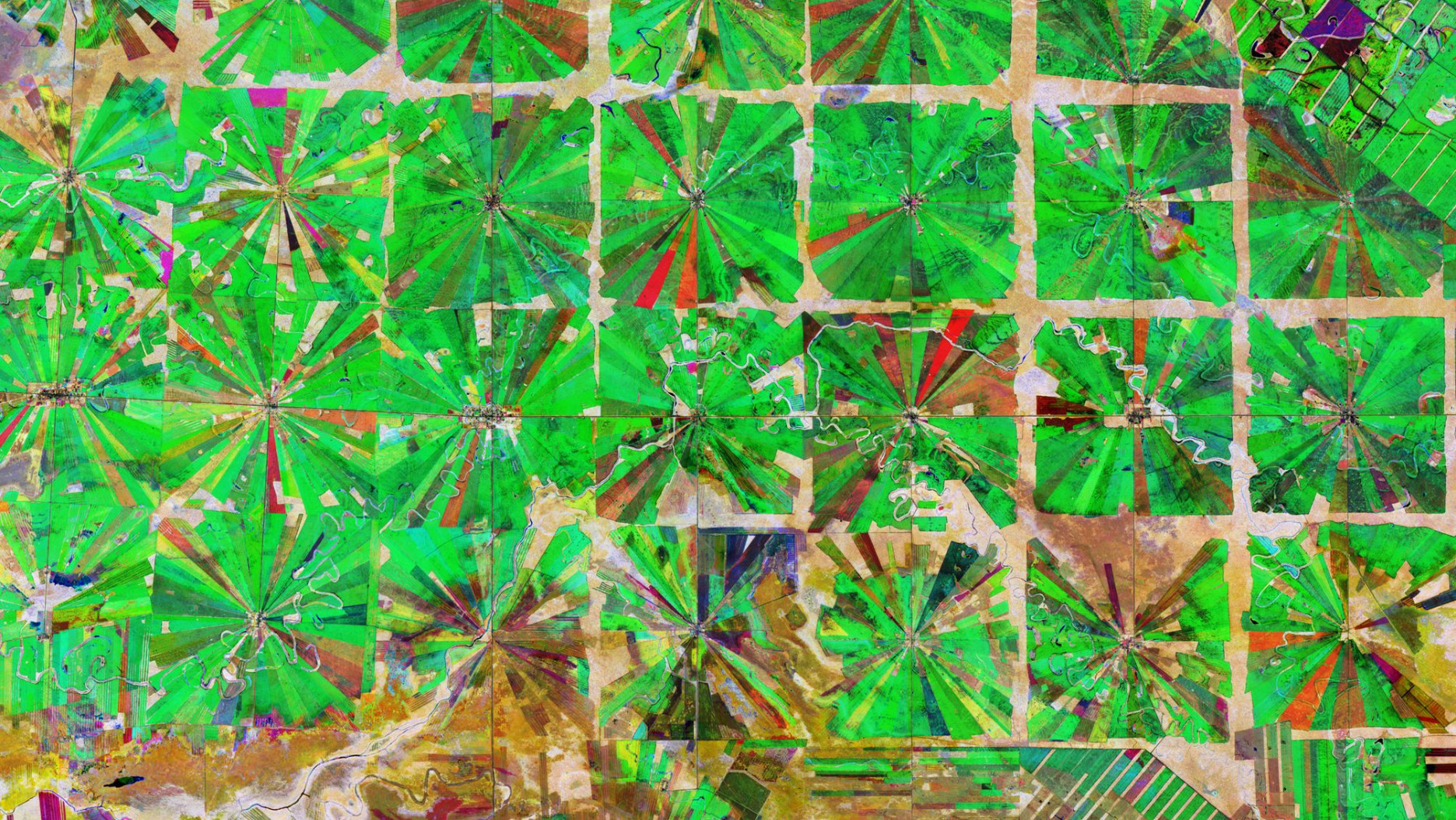Copernicus Sentinel-2 image of agriculture plantations in the Santa Cruz Department of Bolivia. Contains modified Copernicus Sentinel data (2019) processed by ESA