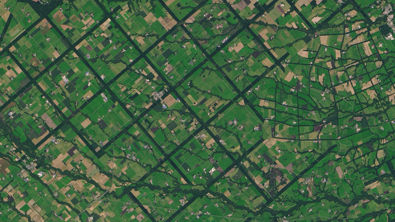 From above, the Konsen Plateau in eastern Hokkaido, Japan offers a remarkable sight: a massive grid that spreads across the rural landscape like a checkerboard. The strips are forested windbreaks—180-meter (590-foot) wide rows of coniferous trees that help shelter grasslands and animals from harsh weather. Image Credit: Operational Land Imager on Landsat 8.
